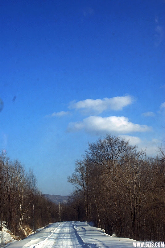 DSC07988.JPG