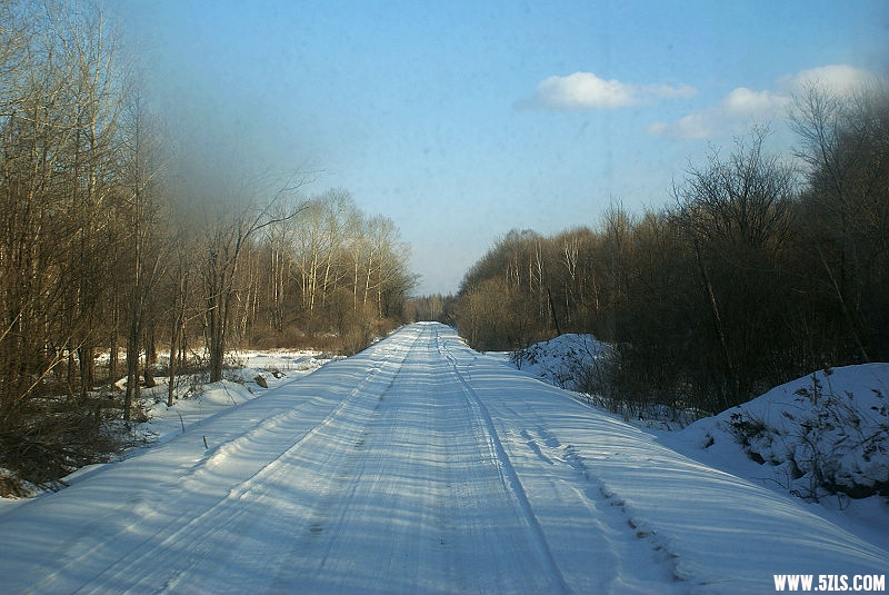 DSC07981.JPG