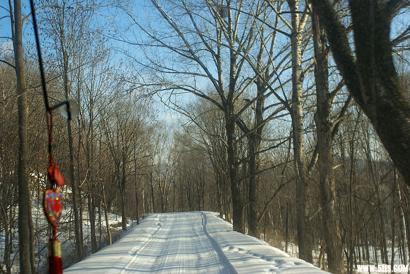 DSC07998.JPG
