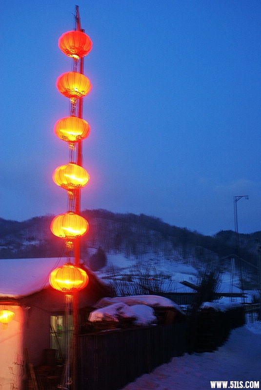 DSC08011.JPG