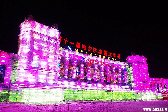 DSC08500.JPG