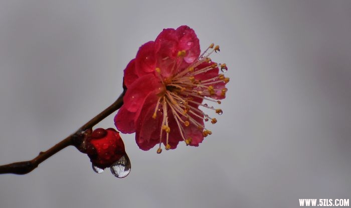 DSC_0003.jpg