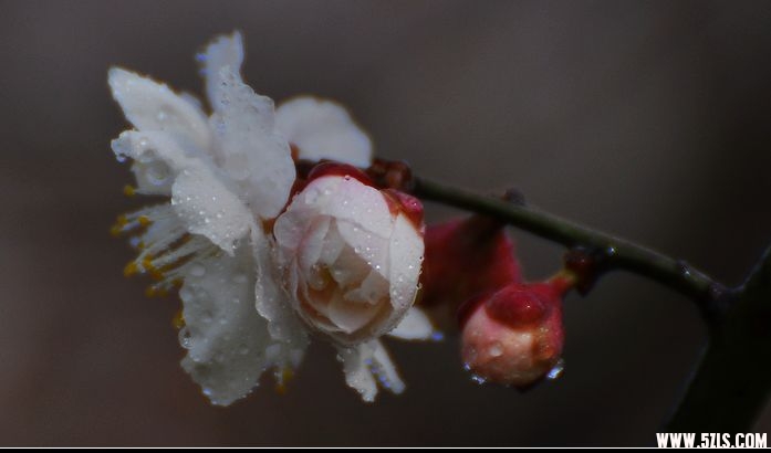 DSC_0007.jpg