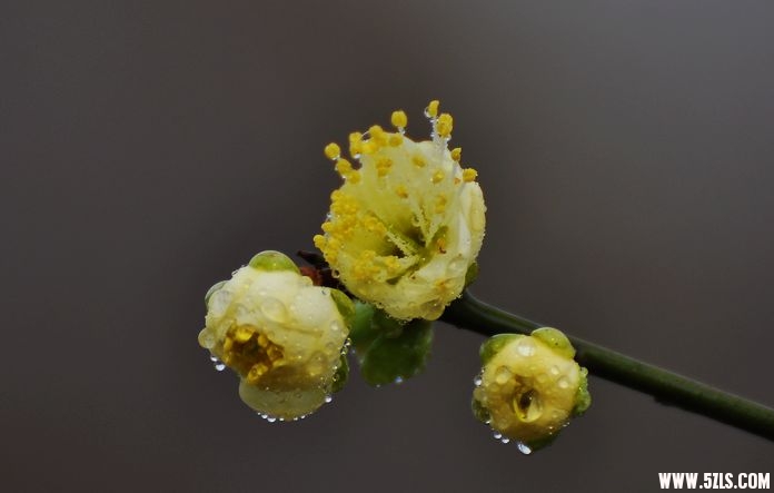 DSC_0030.jpg