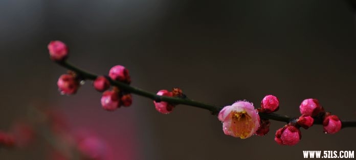DSC_0026.jpg