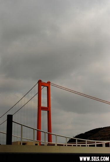 2010 599.jpg