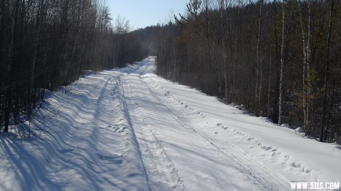 P1010077.jpg
