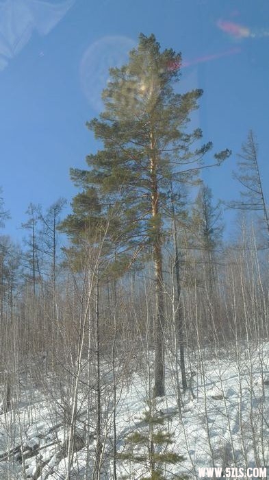 P1010079.jpg