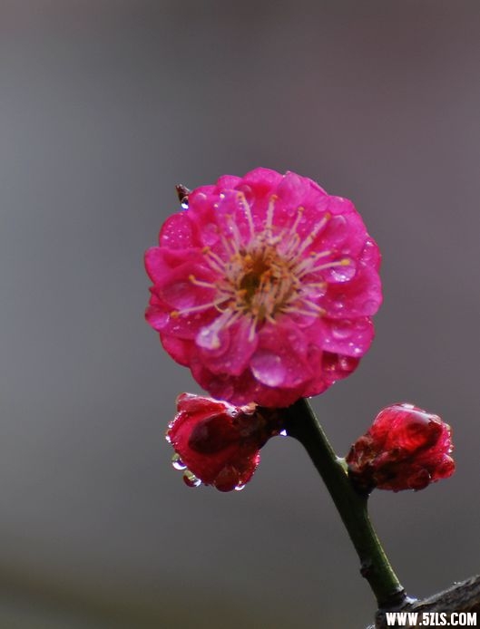 DSC_0048.jpg