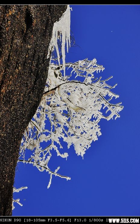 DSC_0343.jpg