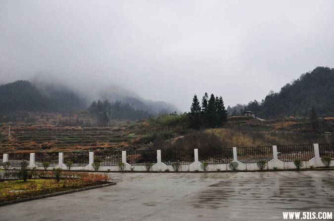 DSC_0012.jpg