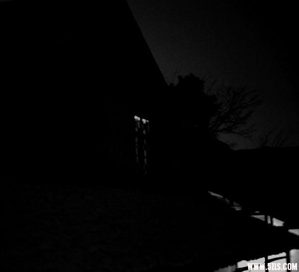 2010 091.jpg