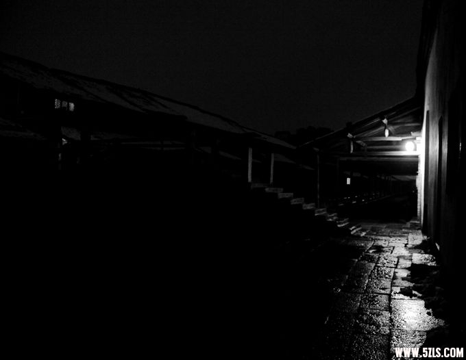 2010 095.jpg