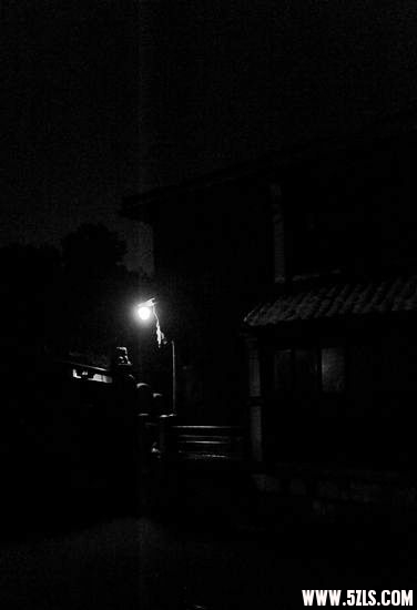 2010 129.jpg