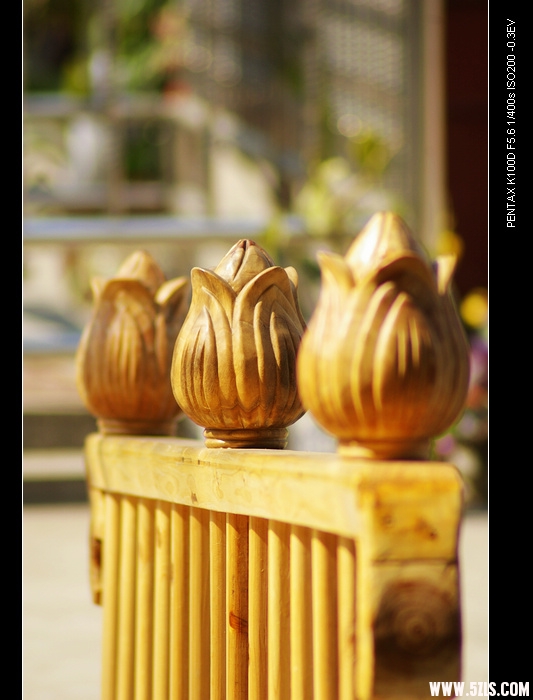 IMGP9951.jpg
