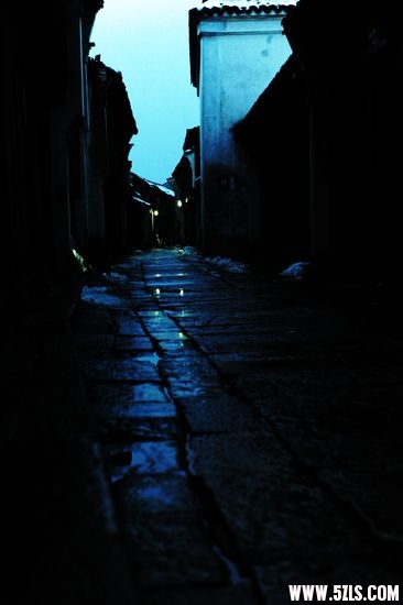 2010 137.jpg