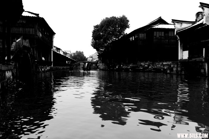 2010 176.jpg