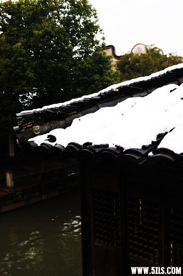 2010 194.jpg