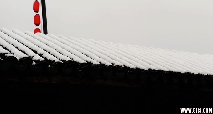 2010 206.jpg