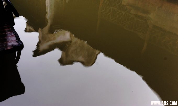 2010 202.jpg
