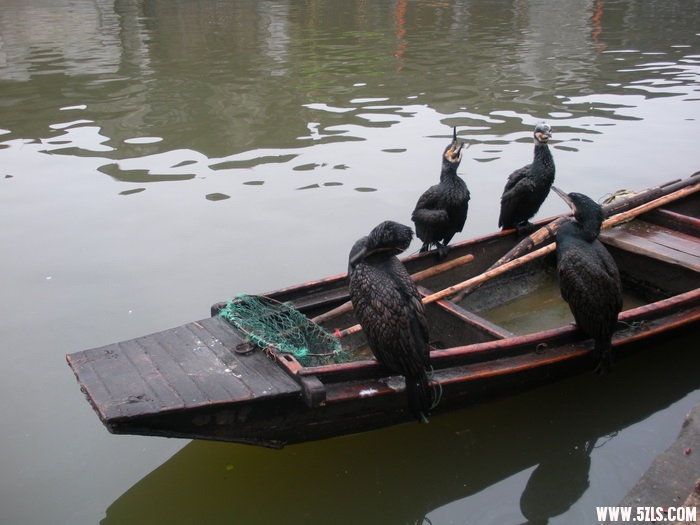 2010Ĵ 034.jpg