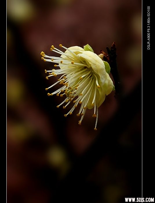DSC02108.jpg