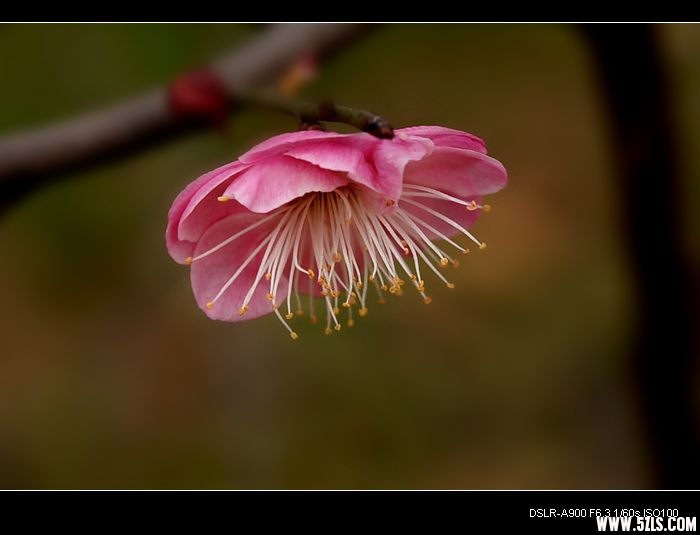 DSC02160.jpg