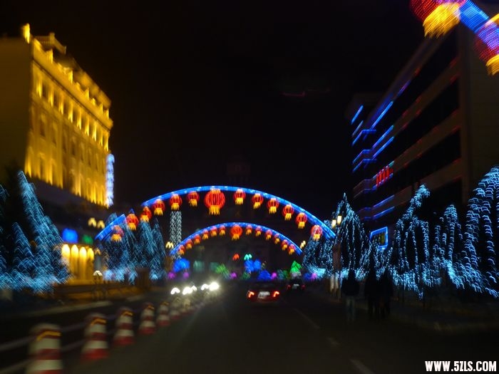 P1010225.jpg