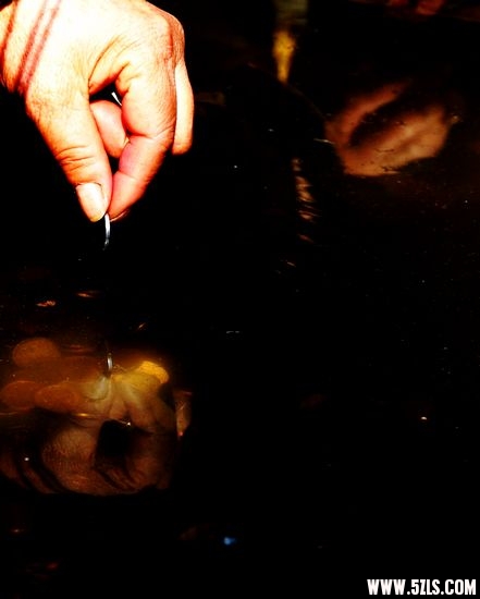 2010 793.jpg