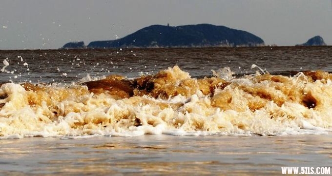 2010 845.jpg