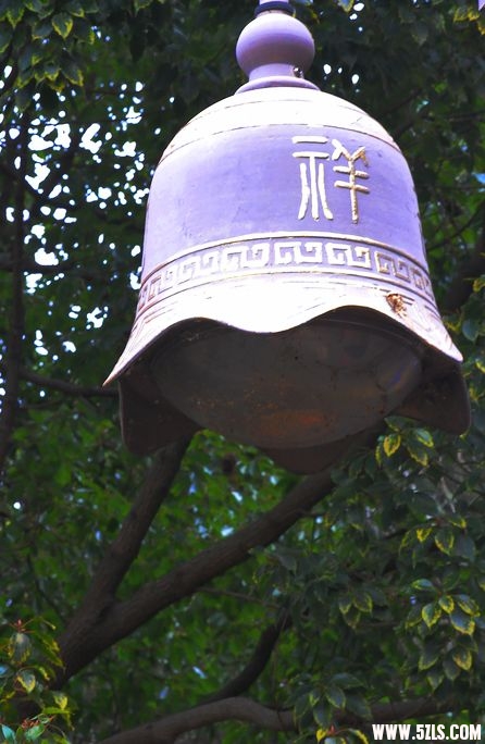 DSC_0113.jpg