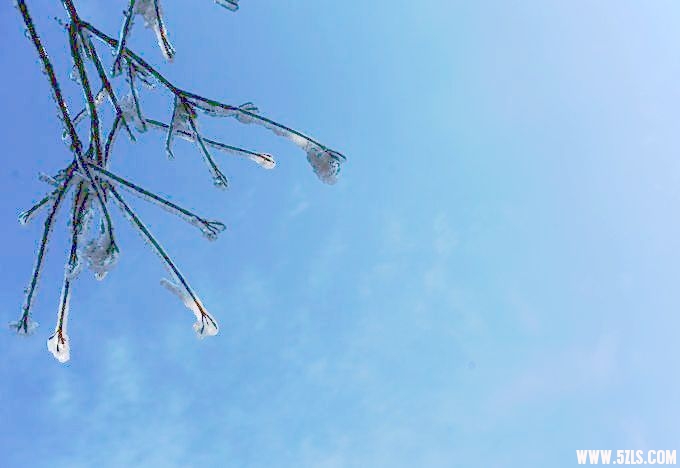 2010֮ 203.jpg