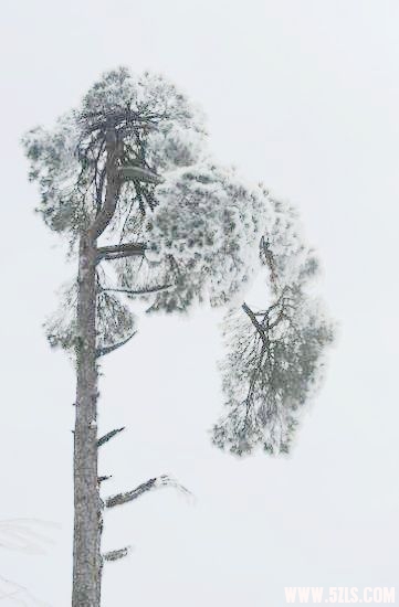 2010֮ 364.jpg