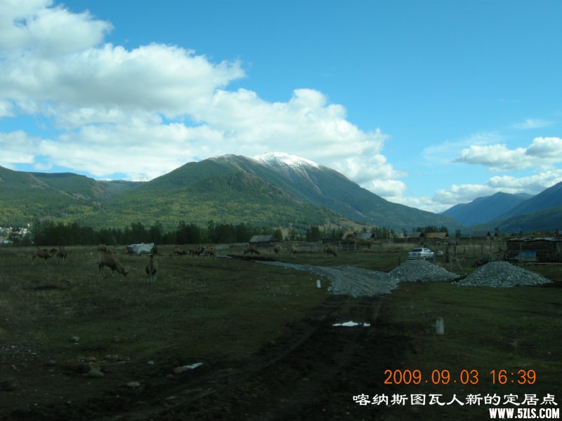 DSCN1987.JPG
