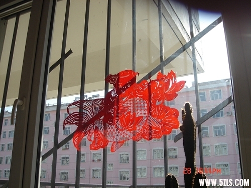 DSC00962_nEO_IMG_nEO_IMG.jpg