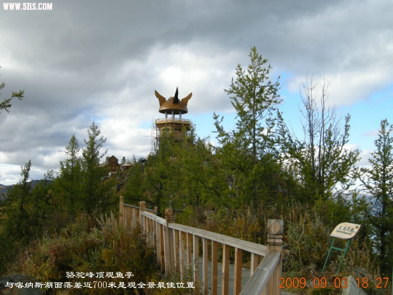 DSCN2049.JPG