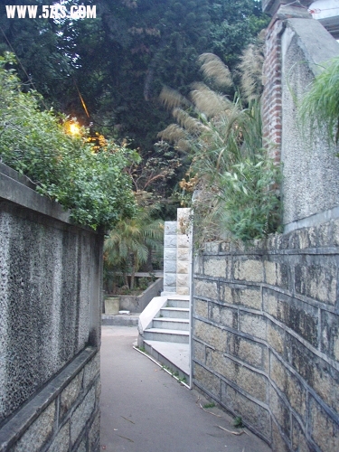P2120141-1.jpg