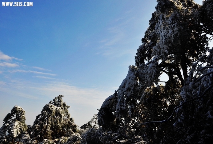 DSC_0322.jpg