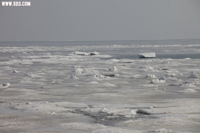 _MG_9558.jpg