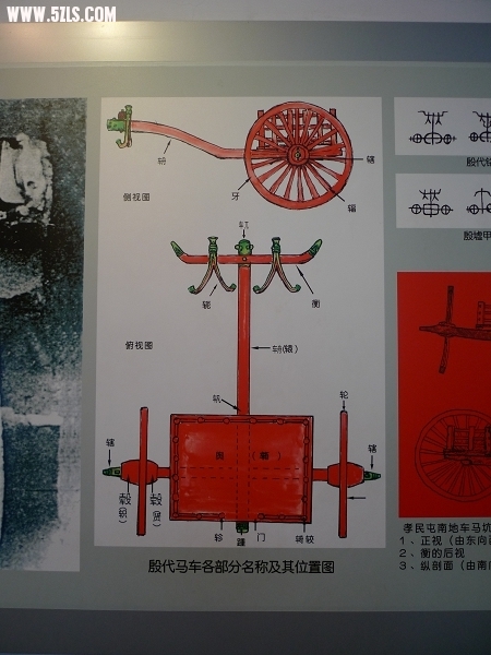P1010627.jpg