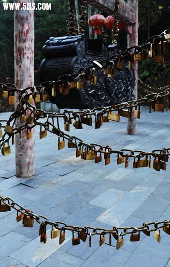 2010֮ 550.jpg