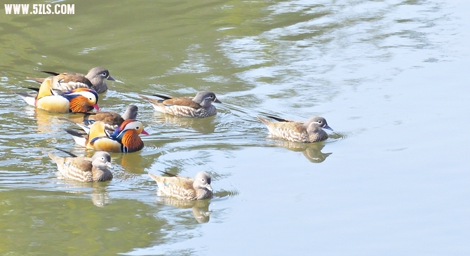 DSC_0085.jpg