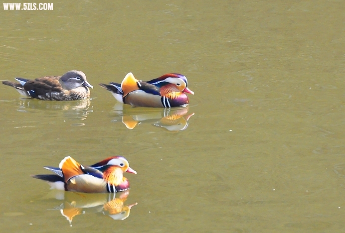 DSC_0075.jpg