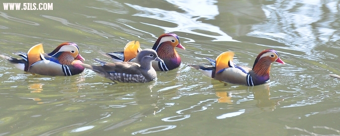 DSC_0117.jpg