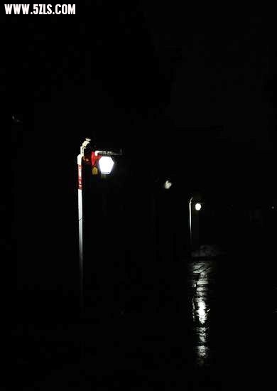 2010 061.jpg