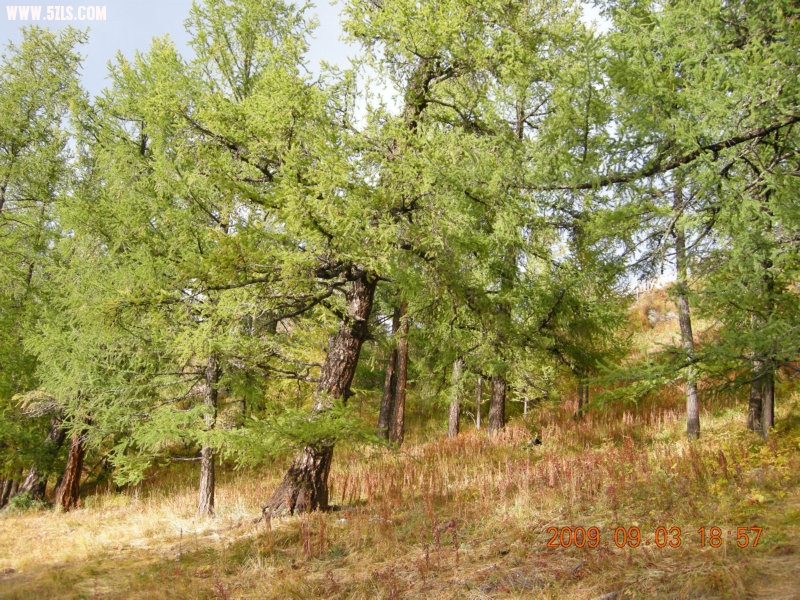 DSCN2064.JPG