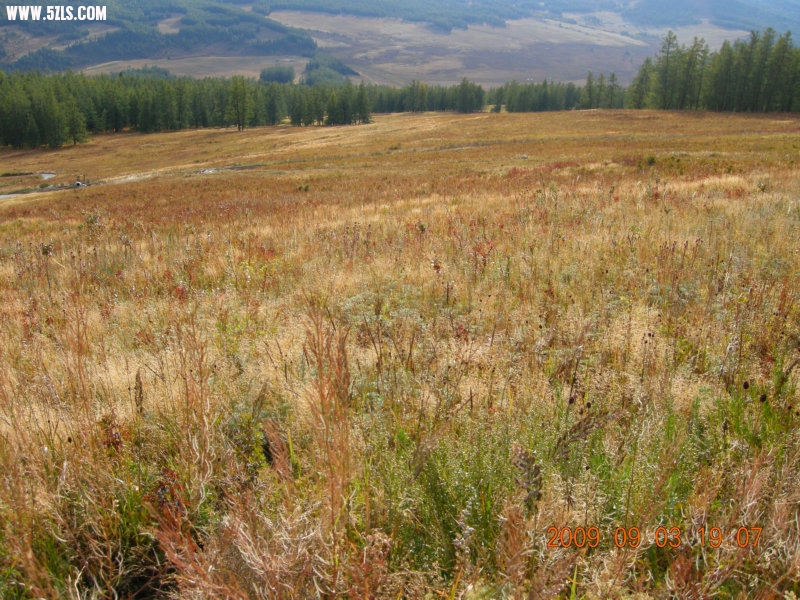 DSCN2072.JPG