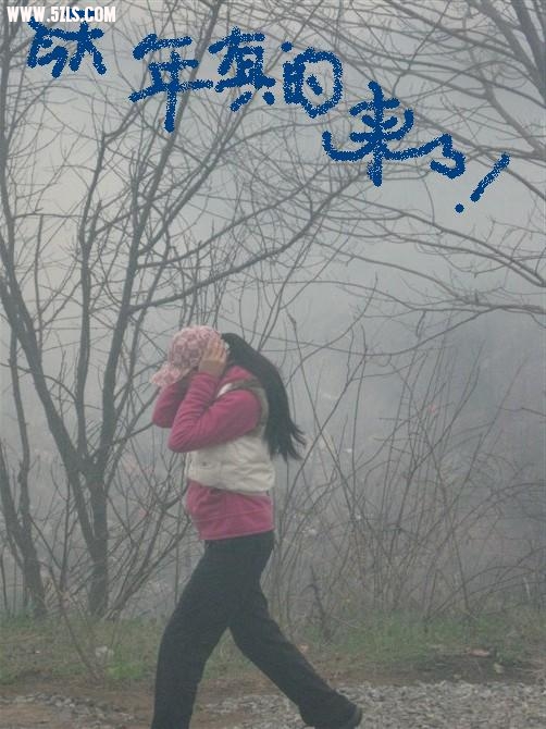 无声处听惊雷