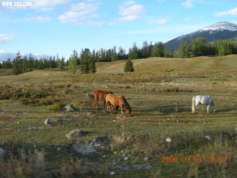 DSCN2088.JPG