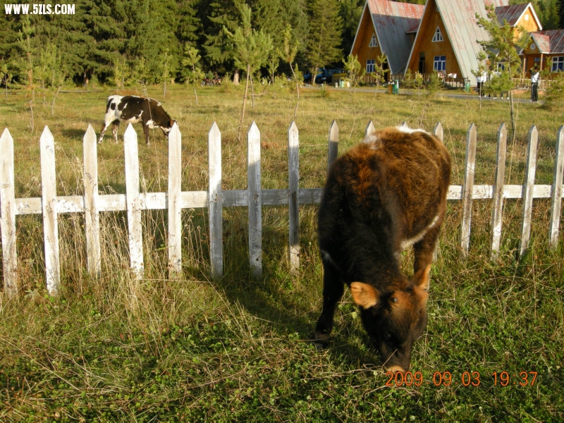 DSCN2092.JPG